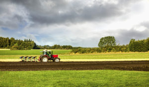 Tractor and plow in field