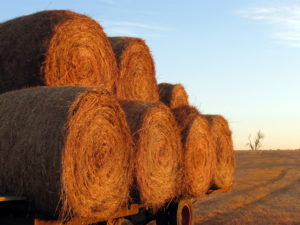 hay bales